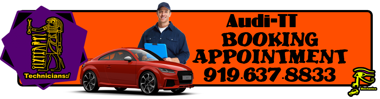 Audi-TT-mechanic-9196378833-booking-appointment.png