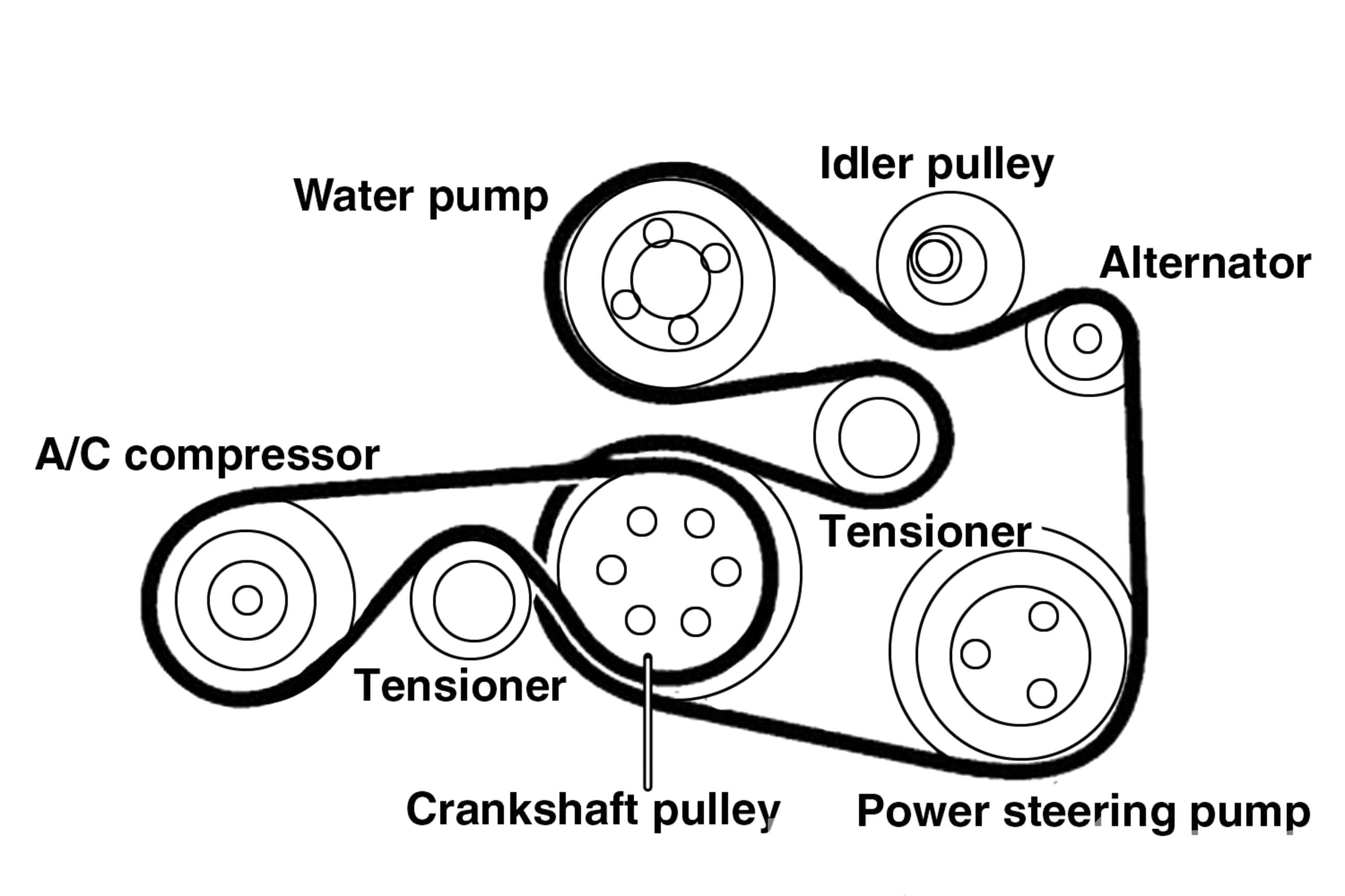 bmw e46 Serpentine Belt diagram.jpeg