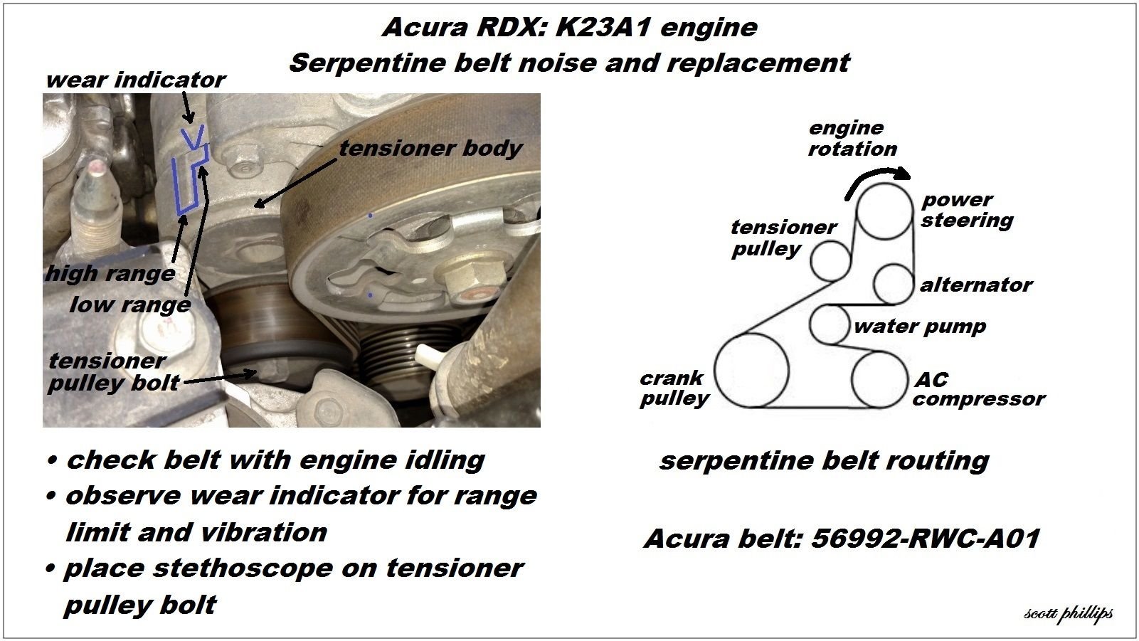 rdx175916.jpg