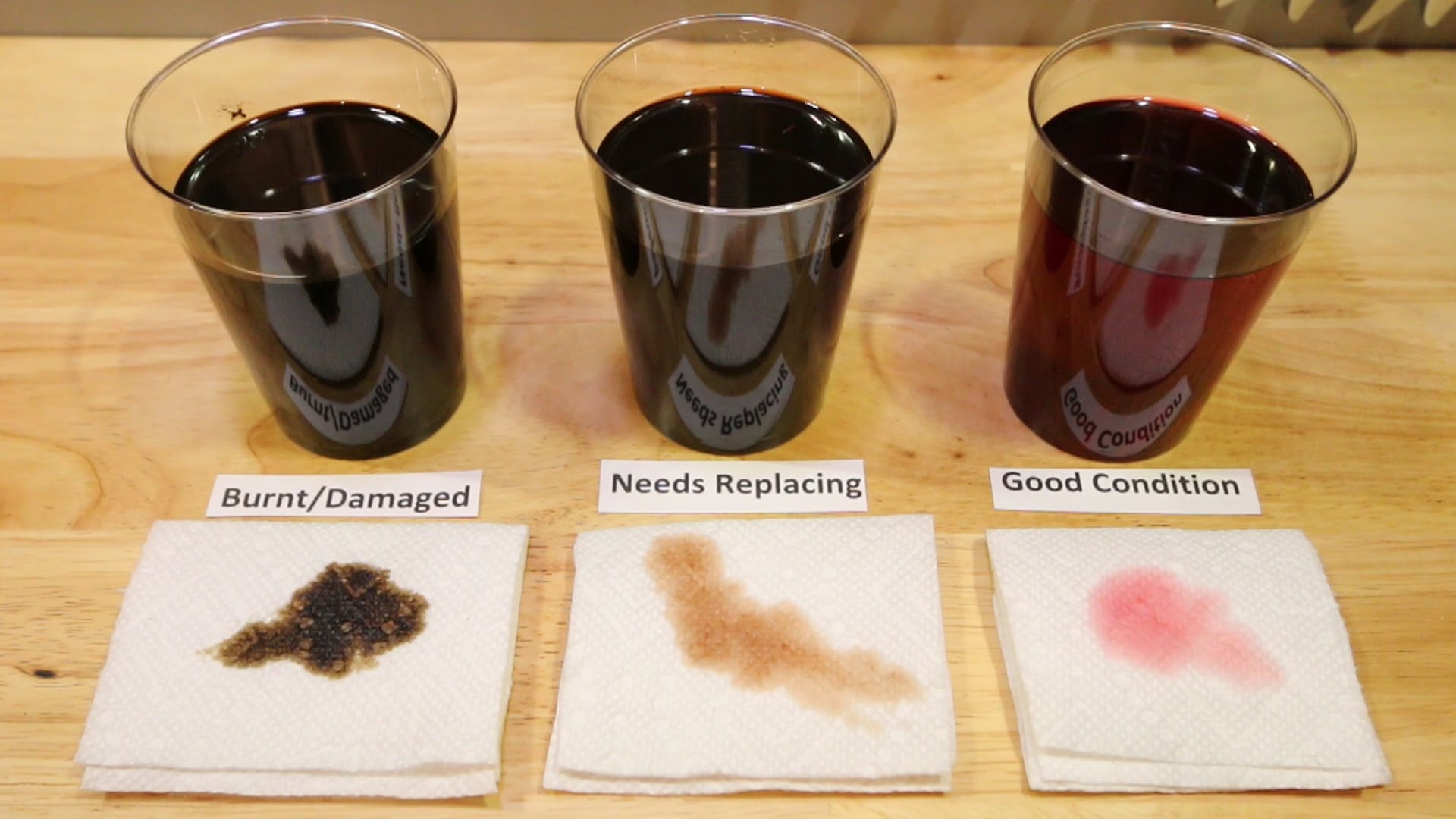 comparing-power-steering-fluid.jpeg